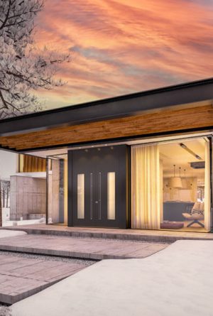 Pirnar-alu-entry-doors-ultimum-pure-622A-double-door